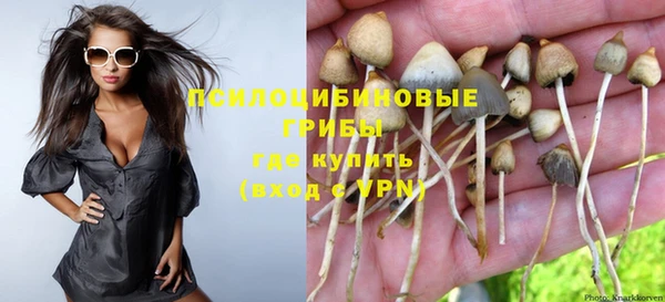 мдпв Арсеньев