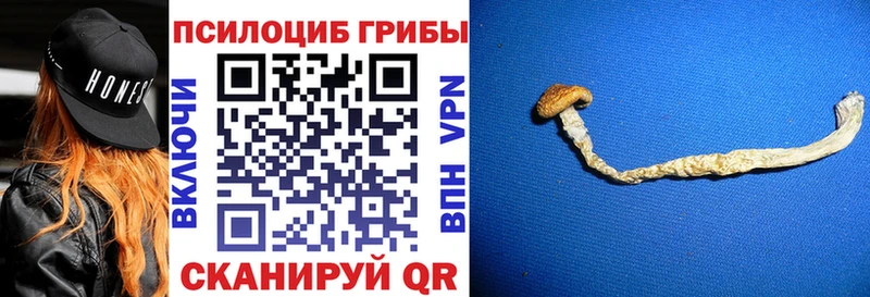 Псилоцибиновые грибы Magic Shrooms  закладка  Льгов 